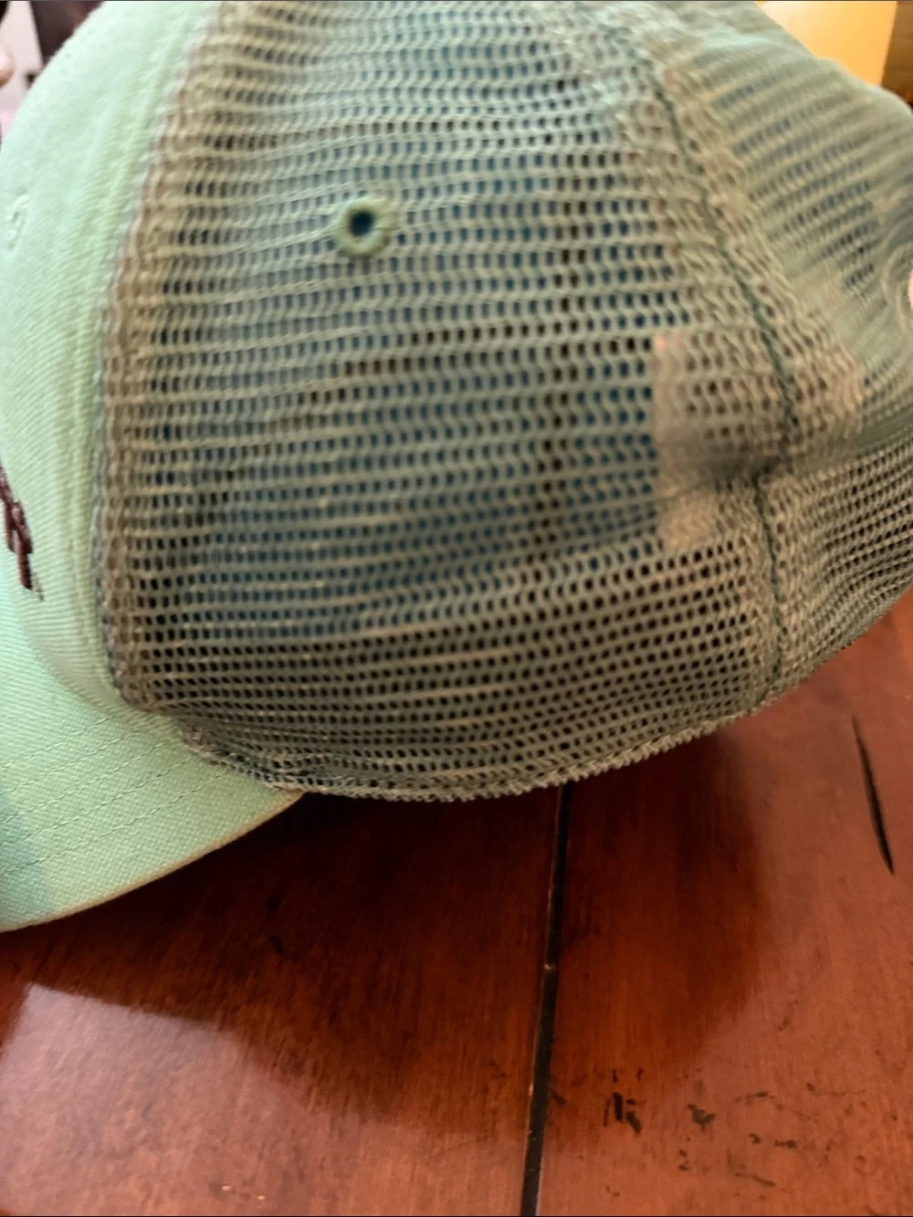 Carhartt Light Green Cap with Brown Embroidered Logo